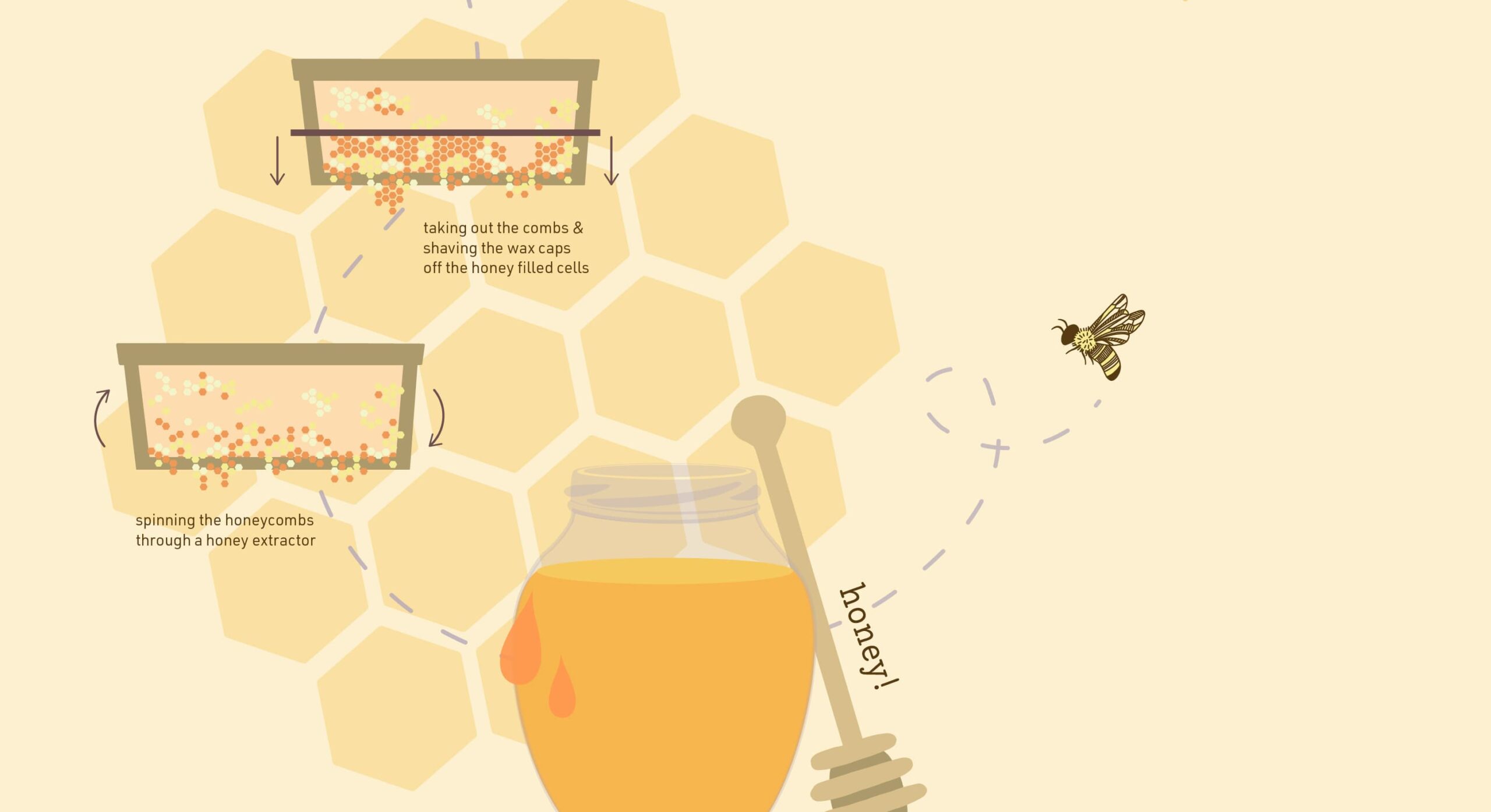 honey-making-crop 2-min