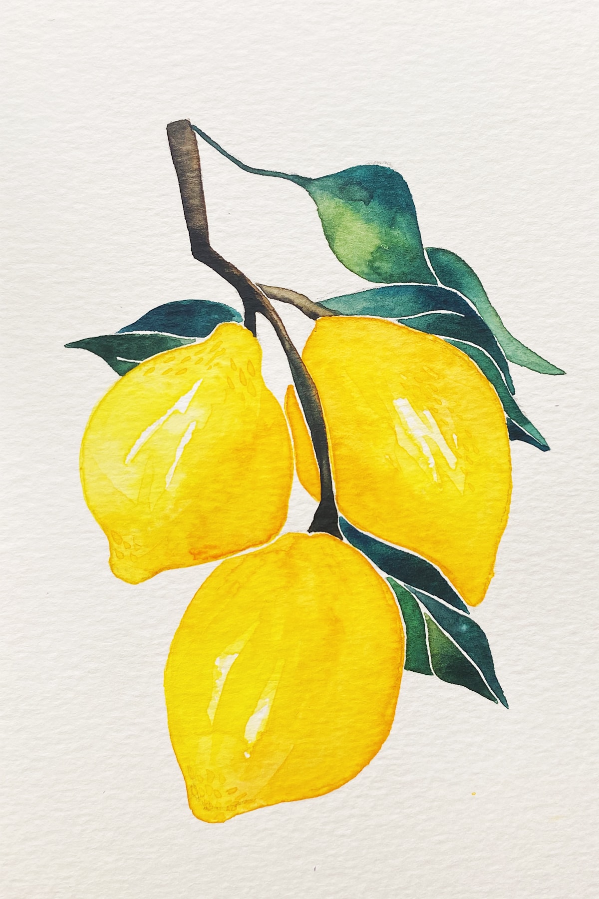 lemons-min