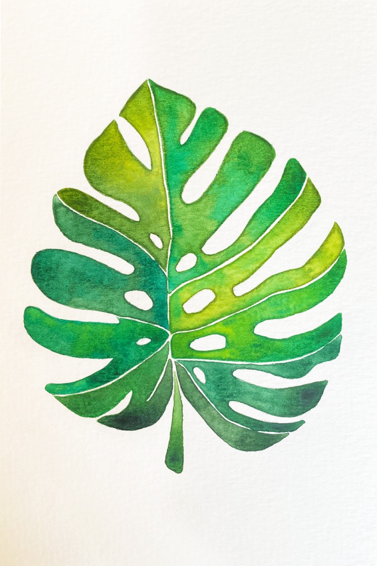 palm leaf-min