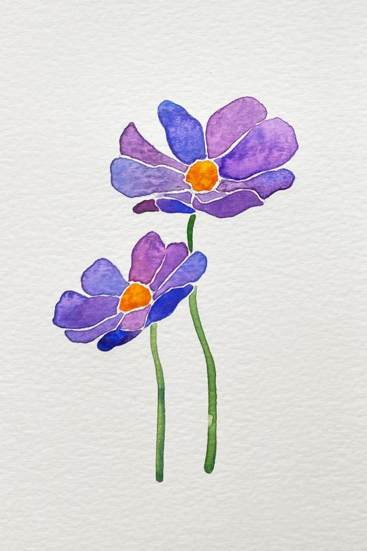 purple flower 1-min