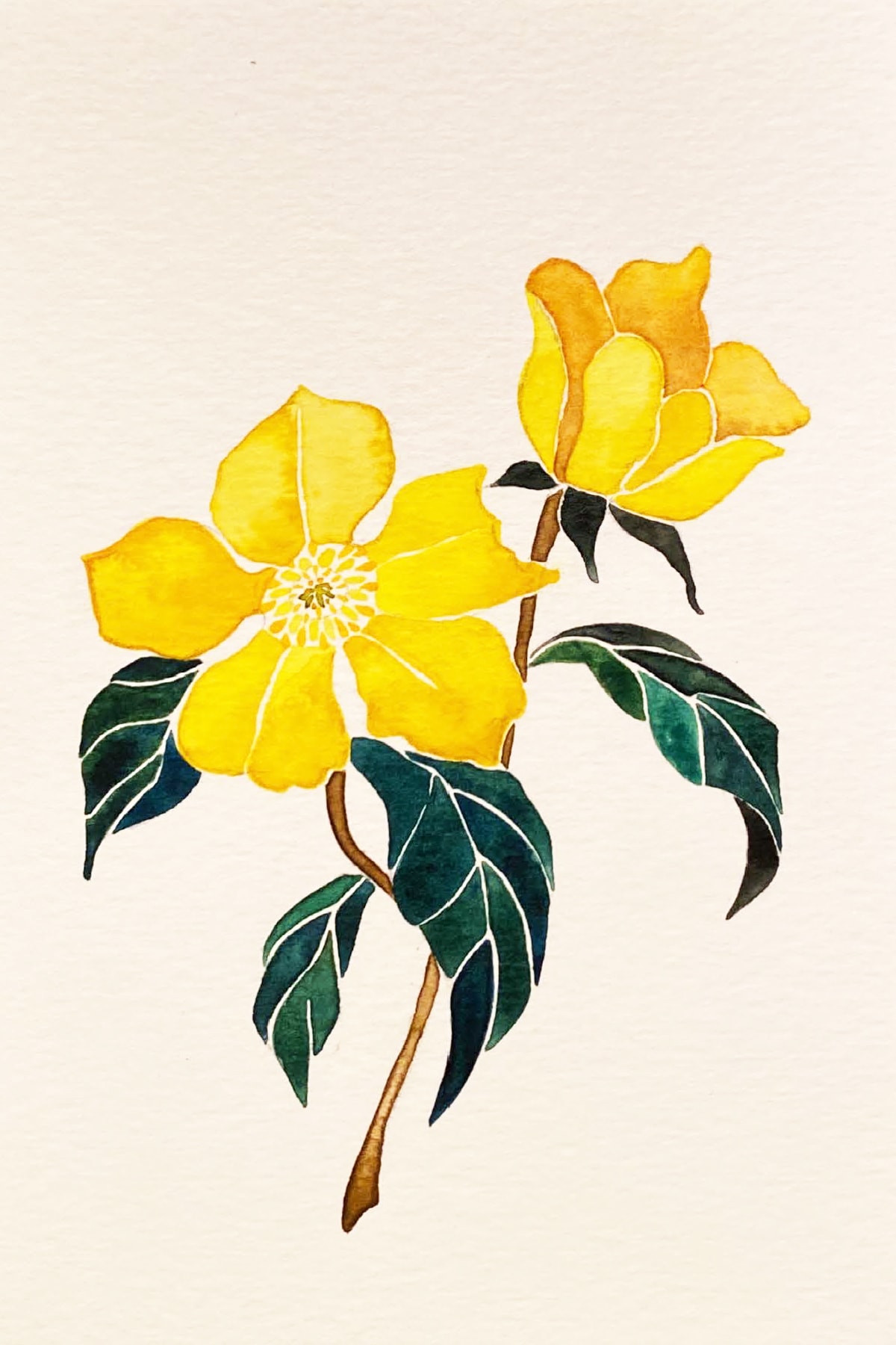 yellow flower-min